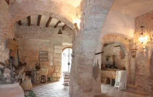 Finca de viñedo con masia noble en Penedès.