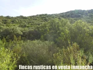 venta 570 has. caza mayor en Ciudad Real