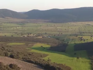 Finca rústica agrícola, ganadera y cinegética