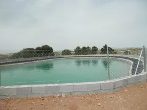 FINCA DE OLIVOS CON RIEGO POR GOTEO