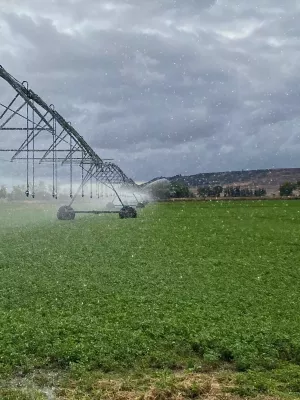 Finca rústica de regadío con derechos de pac