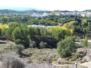 VENTA Olivar Alborache