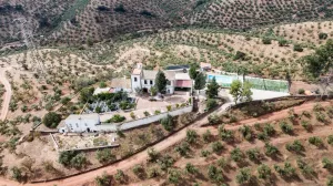 Casa de turismo rural con olivar en Córdoba