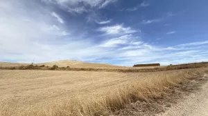 CASA CORTIJO FINCA RÚSTICA DE 756 ha