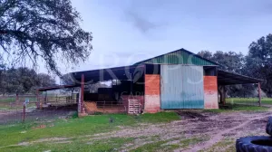 Dehesa ganadera con vivienda