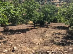 FINCA EN VENTA EN SIERRA DE ARACENA Y PICOS