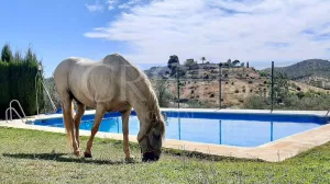 En venta alojamiento rural en Sevilla