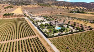 Finca residencial con olivar y viñedo