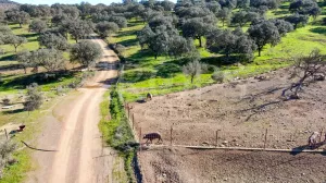 Finca agrícola y ganadera en Córdoba