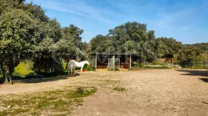 En venta finca ecuestre con casa en Madrid