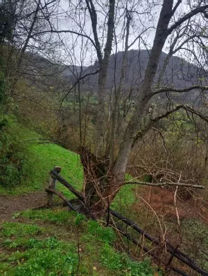 Se vende parcela y cabaña