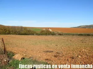 finca en venta 118 has. ciudad real