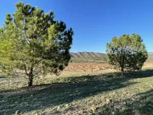 Finca y coto de caza con casona solariega