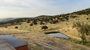 Finca de recreo con explotación agropecuaria