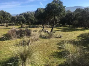 VENTA FINCA RUSTICA SEGOVIA
