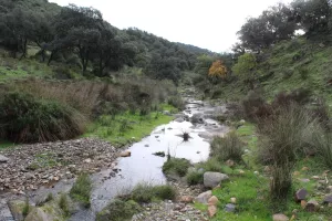 Finca de caza en Ciudad Real Ref. 1519