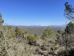 ¡Preciosa finca en la Carbonera!