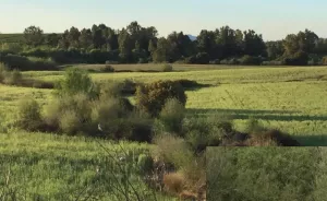 Finca Villanueva de la Serena