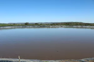 FINCA AGRICOLA Y GANADERA EN TOLEDO - 1488