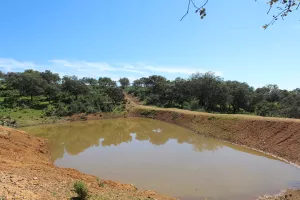 FINCA DE CAZA Y RECREO EN CORDOBA - 1487