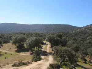 FINCA GANADERA EN TOLEDO