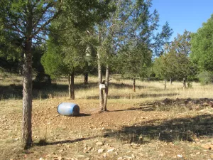 FINCA CINEGETICA EN GUADALAJARA - 1409