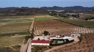 Villa tres casas+ finca pistachos