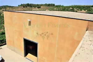 Bodega con viñedo en DO Priorat