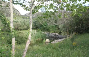 Masia rural y terreno en Empordà, Costa Brava
