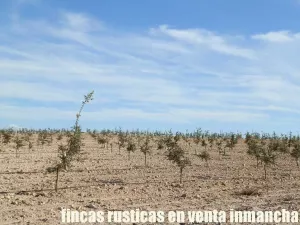 finca en venta 23 has. encina para trufa