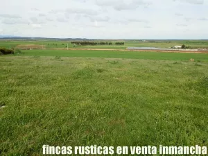 finca en venta 10 has. labor pastos recreo