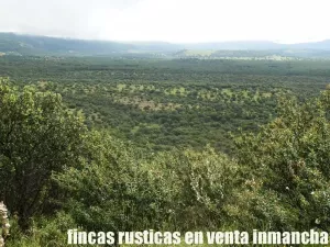 finca en venta 590 has. ganadera caza mayor