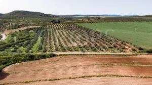 Finca agrícola de regadío en Málaga