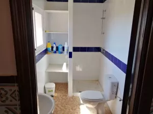 FINCA DE PISTACHOS EN EL SUR DE ESPAÑA