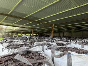 Espectacular finca rústica, plena producción