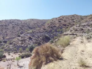FINCA 50 HA. SIERRA DE LOS FILABRES.