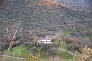 Finca Ganadera y Cinegética en Constantina