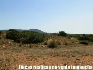 finca en venta 56 has. recreo caza menor