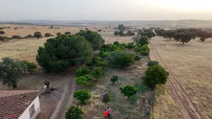 Finca Logrosan