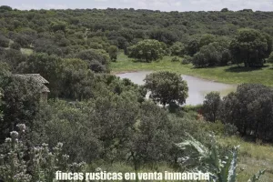finca en venta 126 has. recreo caza en Cuenca