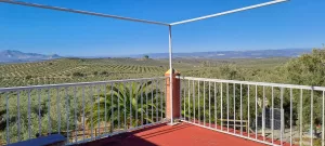 Casa cortijo con finca de olivar