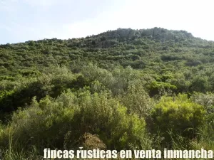 venta 570 has. caza mayor en Ciudad Real