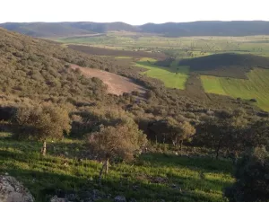 Finca rústica agrícola, ganadera y cinegética