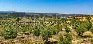 Masía catalana cerca de Lleida capital