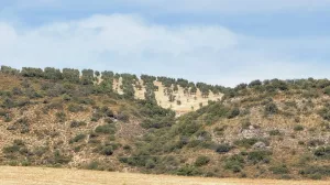 CASA CORTIJO FINCA RÚSTICA DE 756 ha