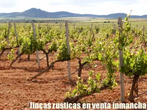 finca en venta 1.366 Has. labor viña monte