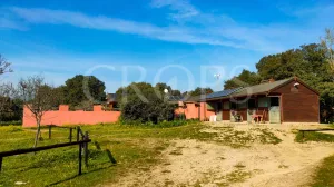 En venta finca ecuestre con casa en Madrid