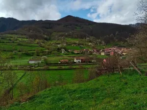 Se vende parcela y cabaña