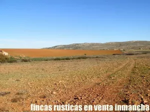 finca en venta 118 has. ciudad real