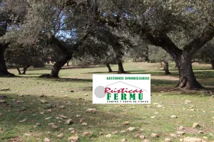 Finca ganadera y de cultivo en Ronda